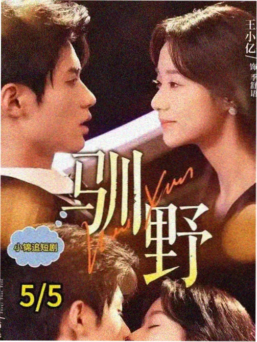 飙升榜第一韩剧缩略图